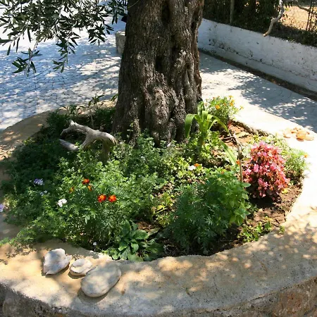 Terpsichore Boutique Appartments Dassia (Corfu)